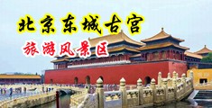 捆绑强奸美女三级片中国北京-东城古宫旅游风景区